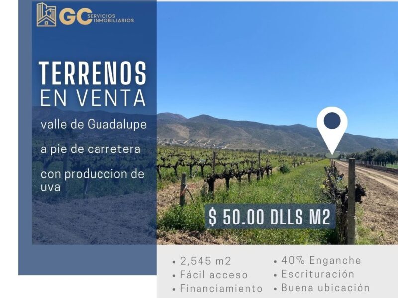 Terrenos en Valle de Guadalupe