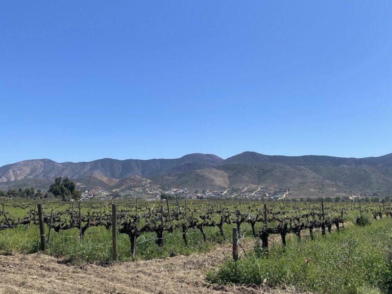 Terrenos en Valle de Guadalupe