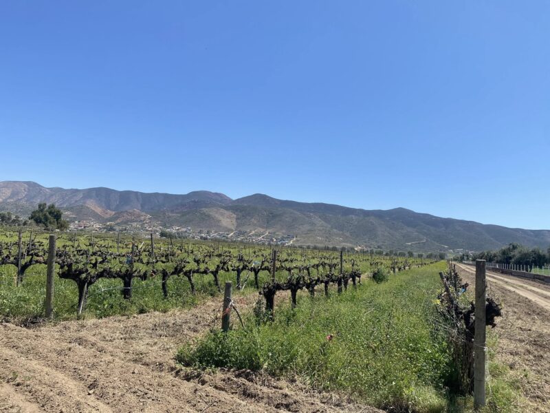 Terrenos en Valle de Guadalupe