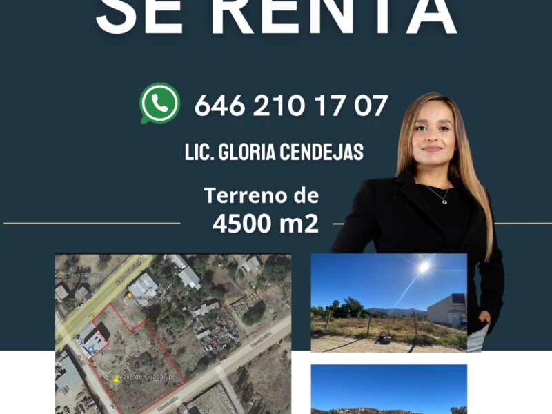 Terreno en Renta en Valle de Guadalupe