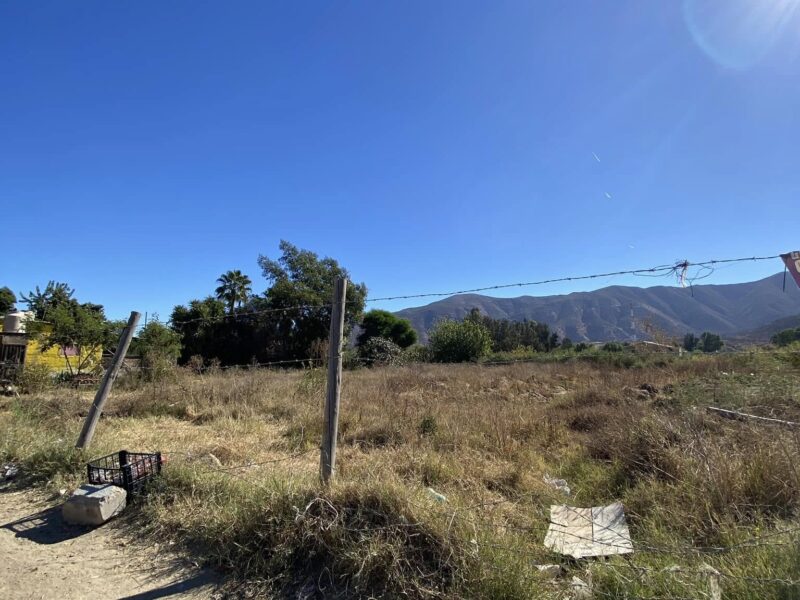 Terreno en Renta en Valle de Guadalupe