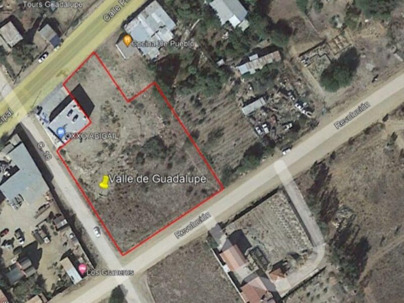 Terreno en Renta en Valle de Guadalupe