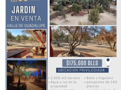 Terreno en Venta – Valle de Guadalupe