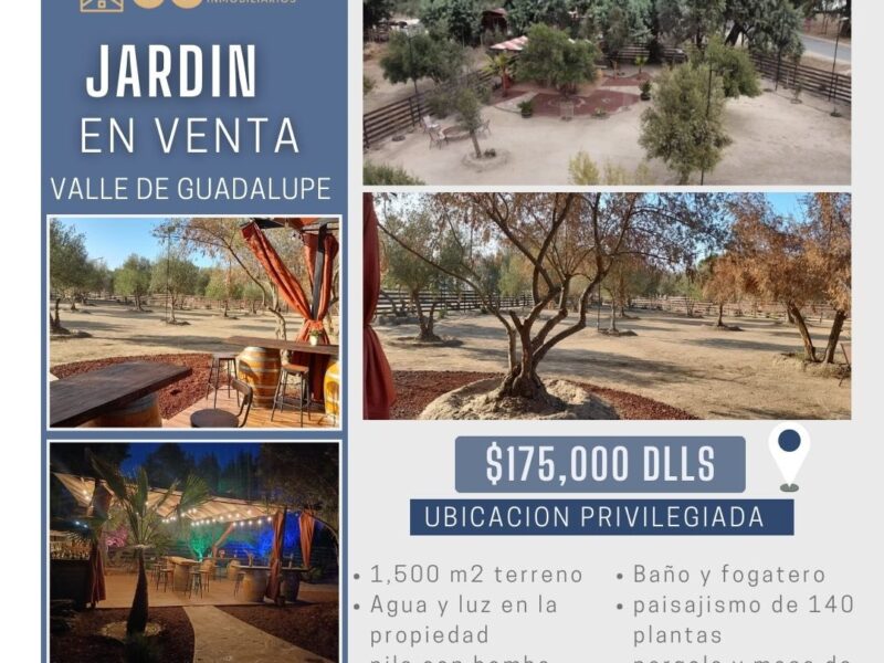 Terreno en Venta – Valle de Guadalupe