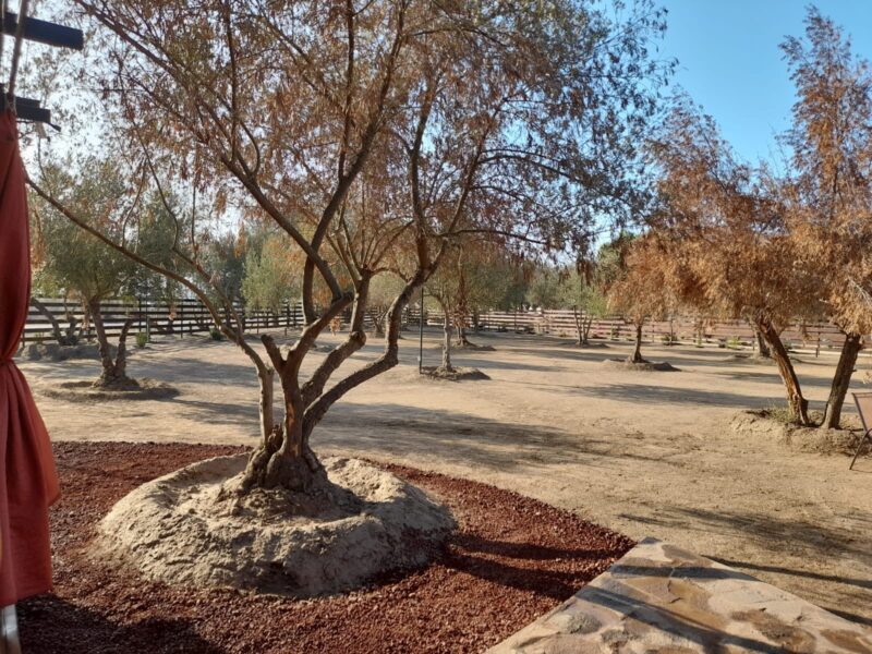 Terreno en Venta – Valle de Guadalupe