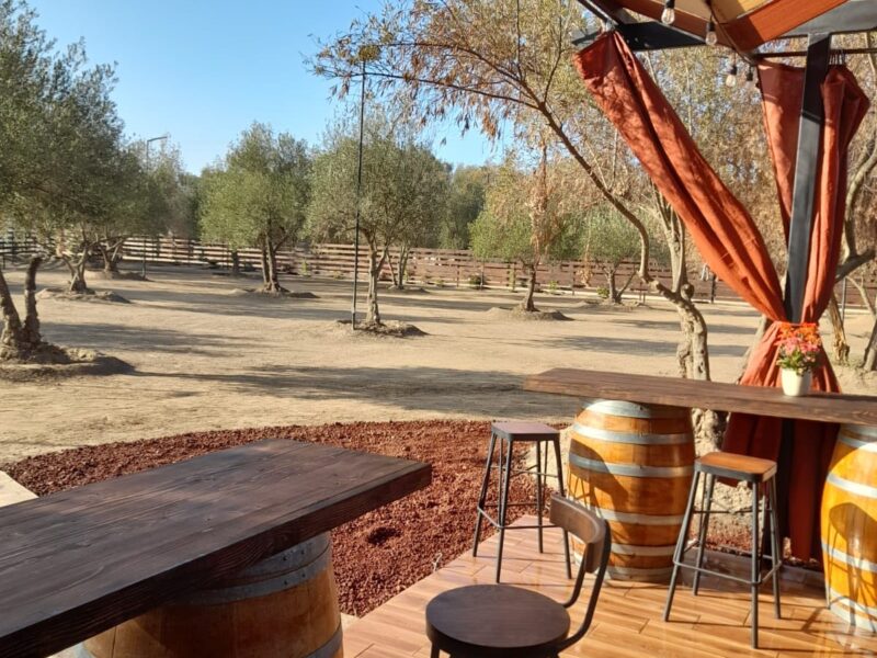 Terreno en Venta – Valle de Guadalupe