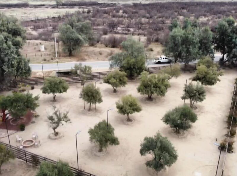 Terreno en Venta – Valle de Guadalupe