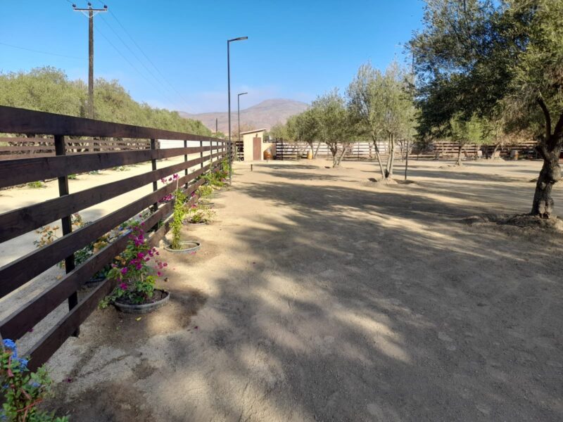 Terreno en Venta – Valle de Guadalupe