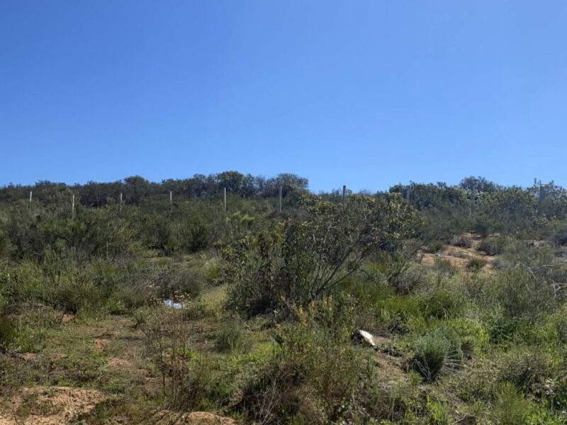 Terreno en Col. Buenos Aires